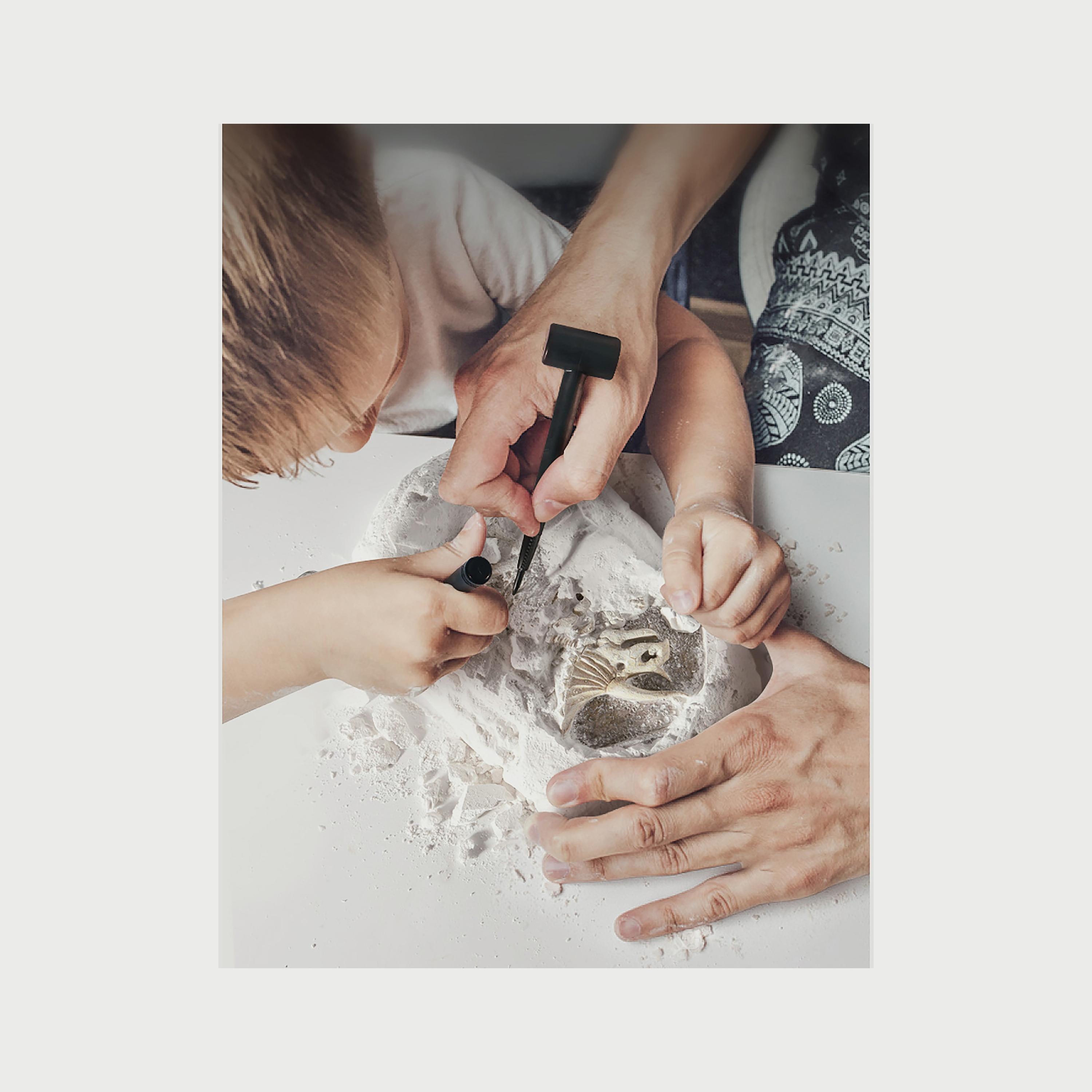 Mideer Revive A Pterosaur, Dig A Dinosaur Kit-toys-educational-stemtoys-image-2