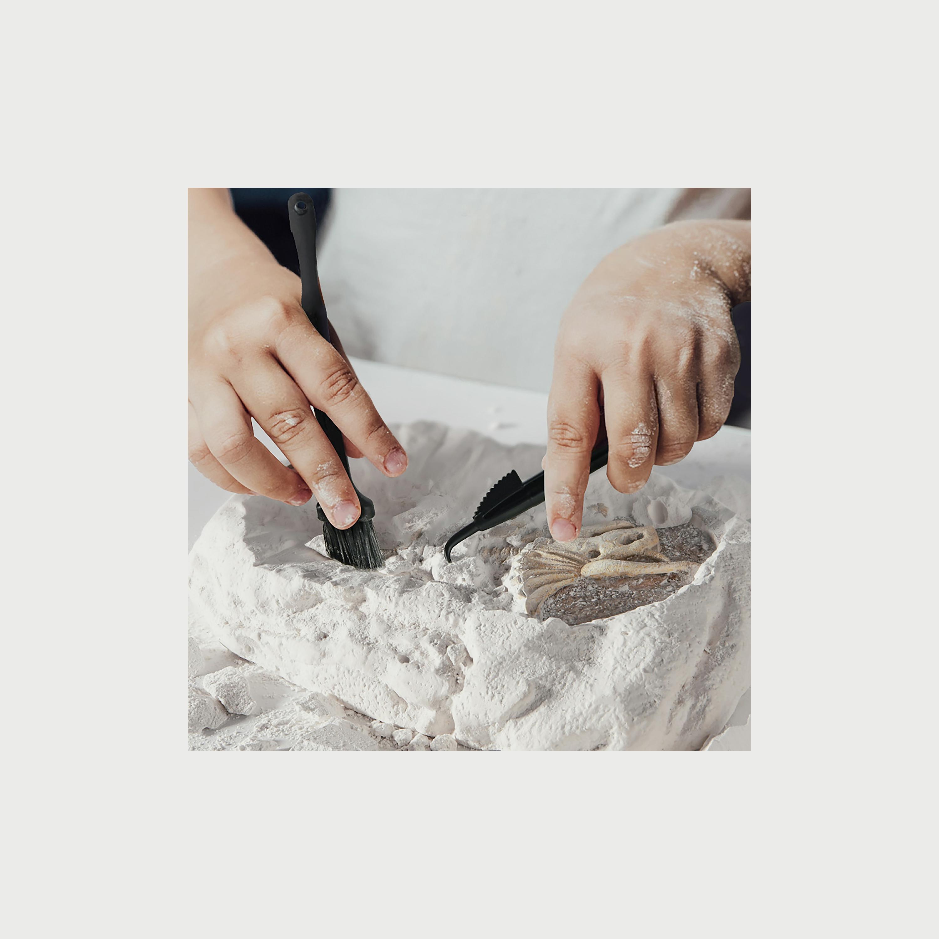 Mideer Revive A Pterosaur, Dig A Dinosaur Kit-toys-educational-stemtoys-image-3