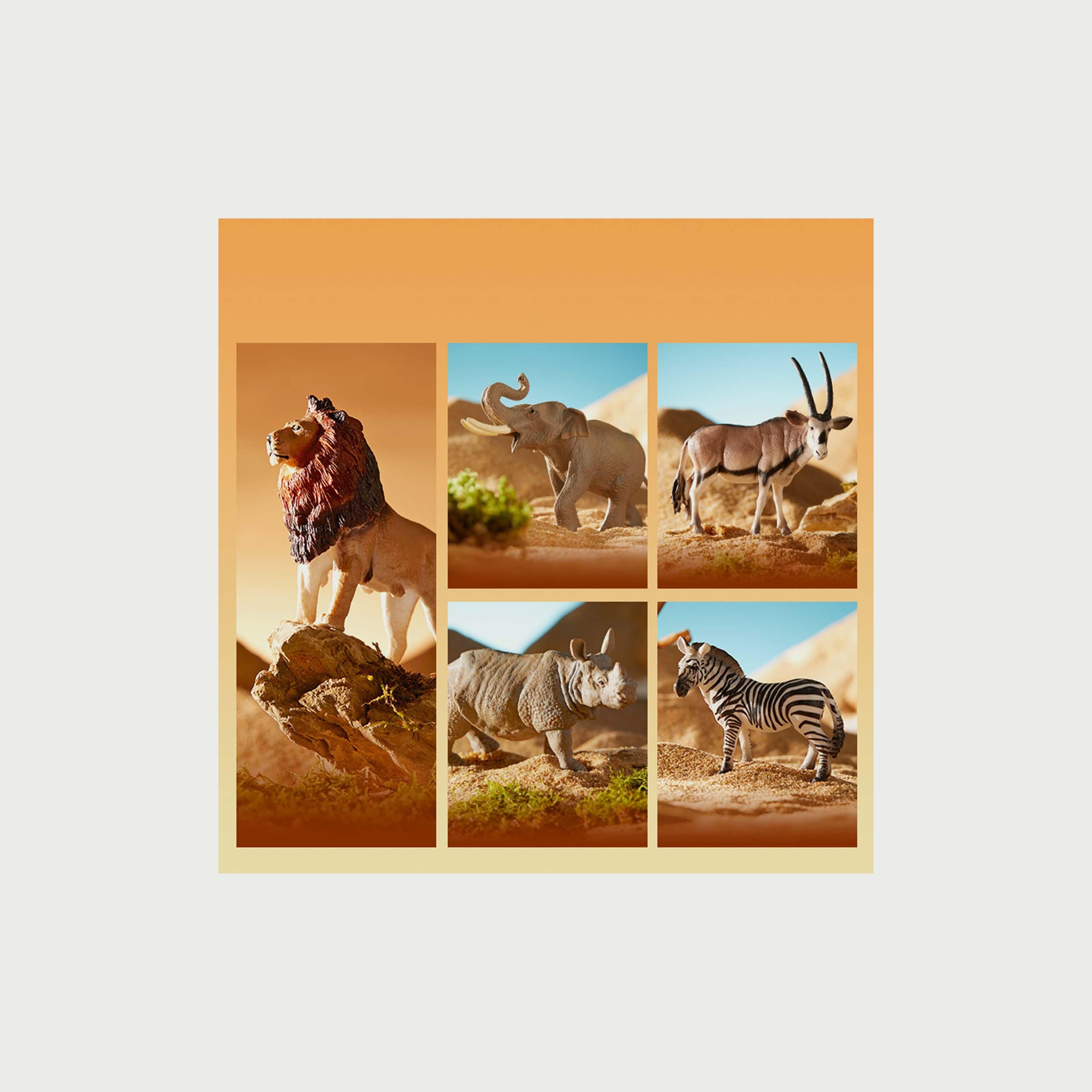 Mideer Safari Animal Collectibles, 5 Pieces-toys-playfigures-actionplaysets-image-1