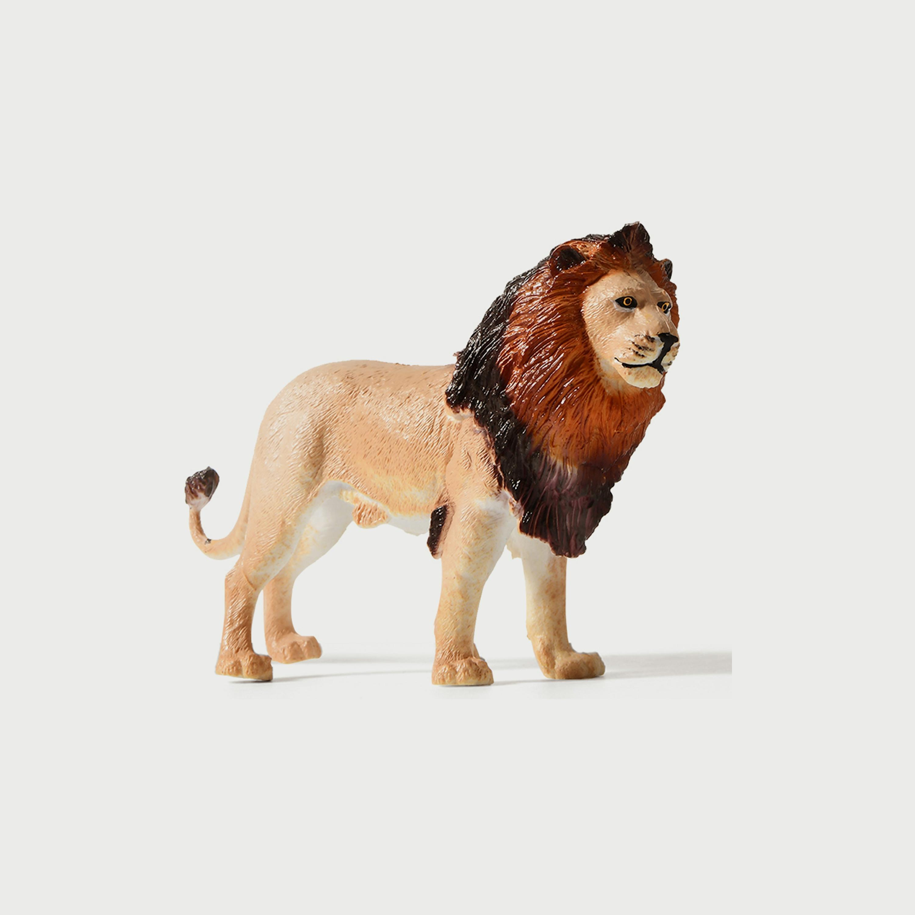 Mideer Safari Animal Collectibles, 5 Pieces-toys-playfigures-actionplaysets-image-4