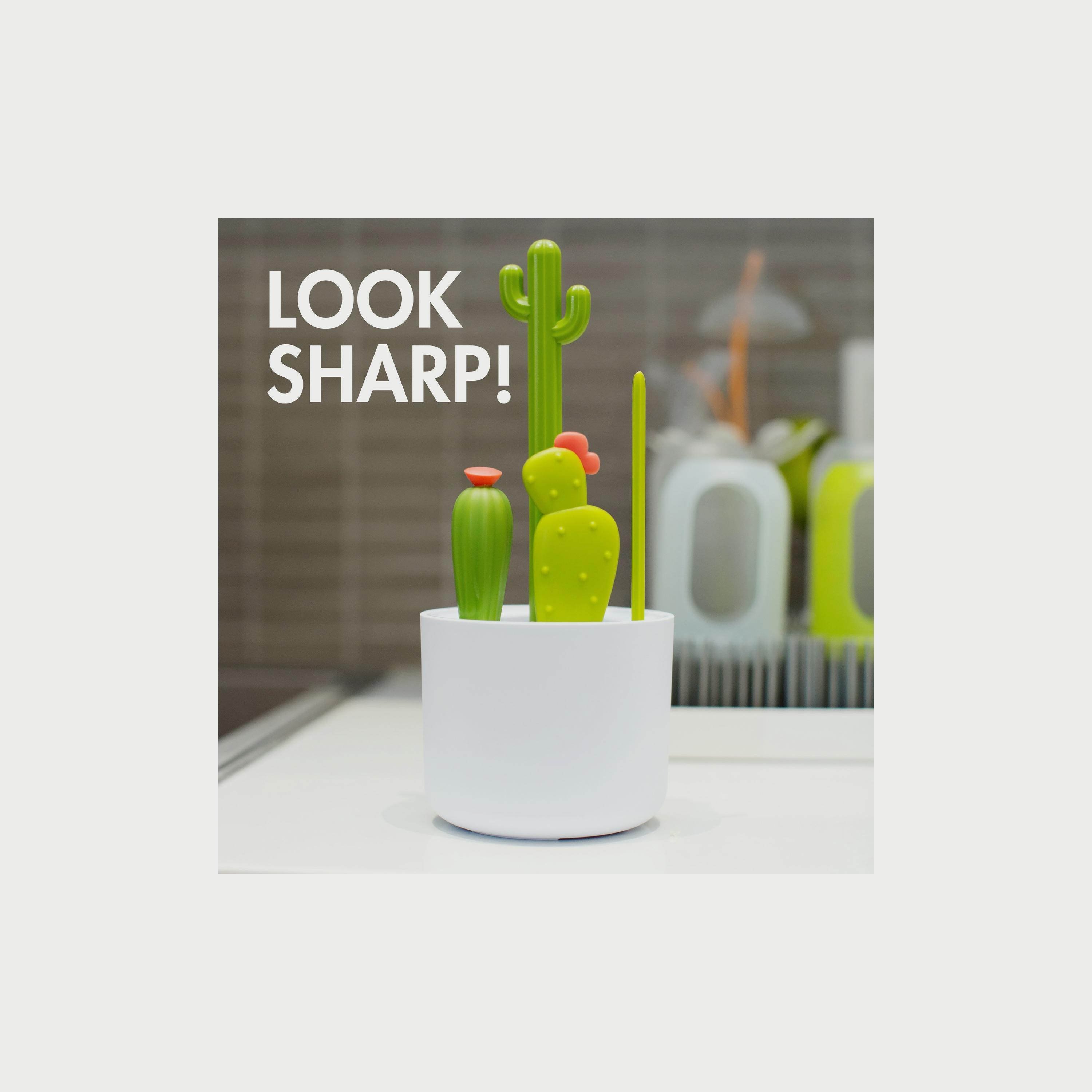 Boon 4-Piece Cacti Bottle Cleaning Brush, Green-baby-feeding-accessories-image-4