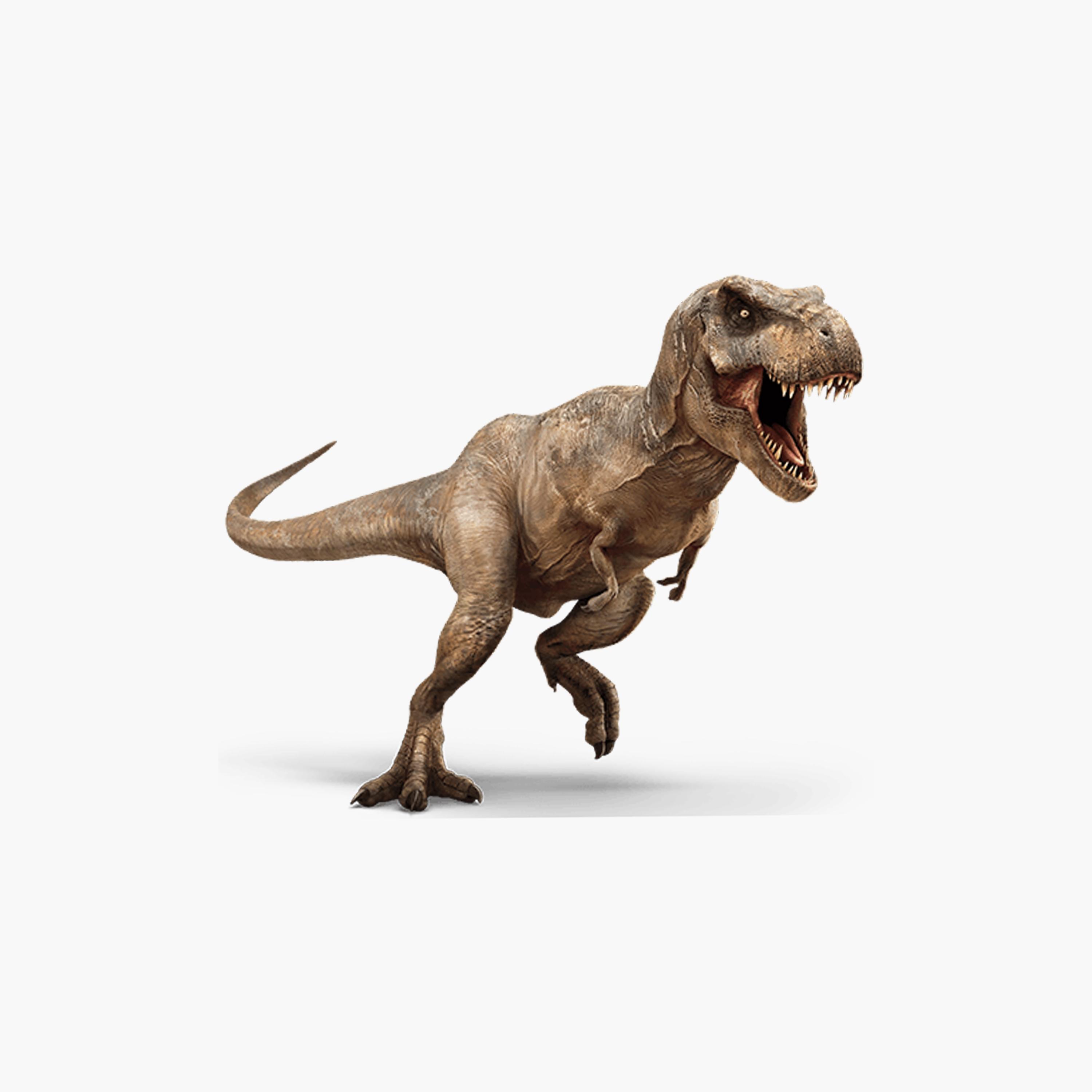 Little Story 6-Piece Simulated Dinosaur With Ice Vocalization Toy, Multicolour-toys-playfigures-actionplaysets-image-5