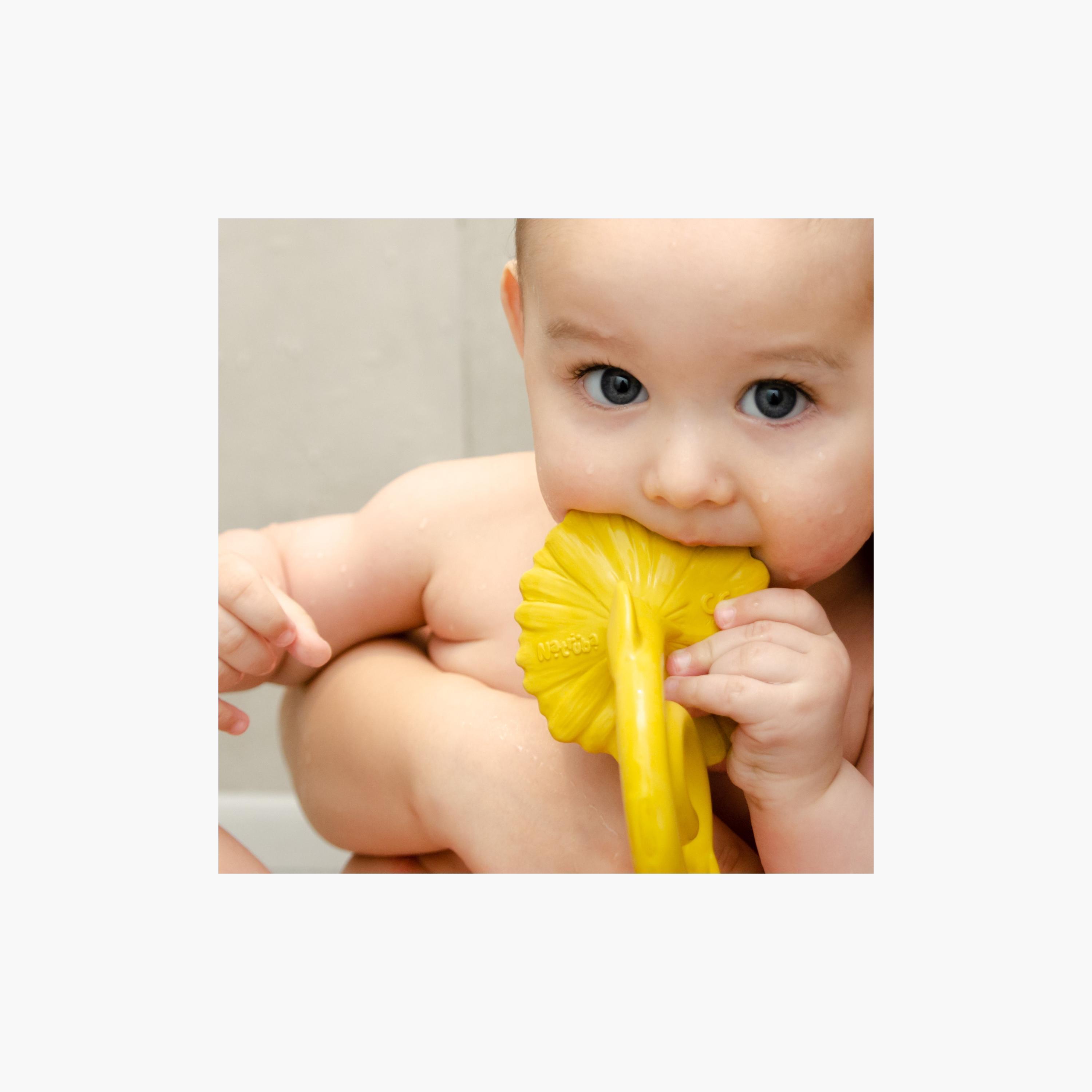 Natruba Teether Sunflower, Yellow-baby-feeding-teethers-image-3