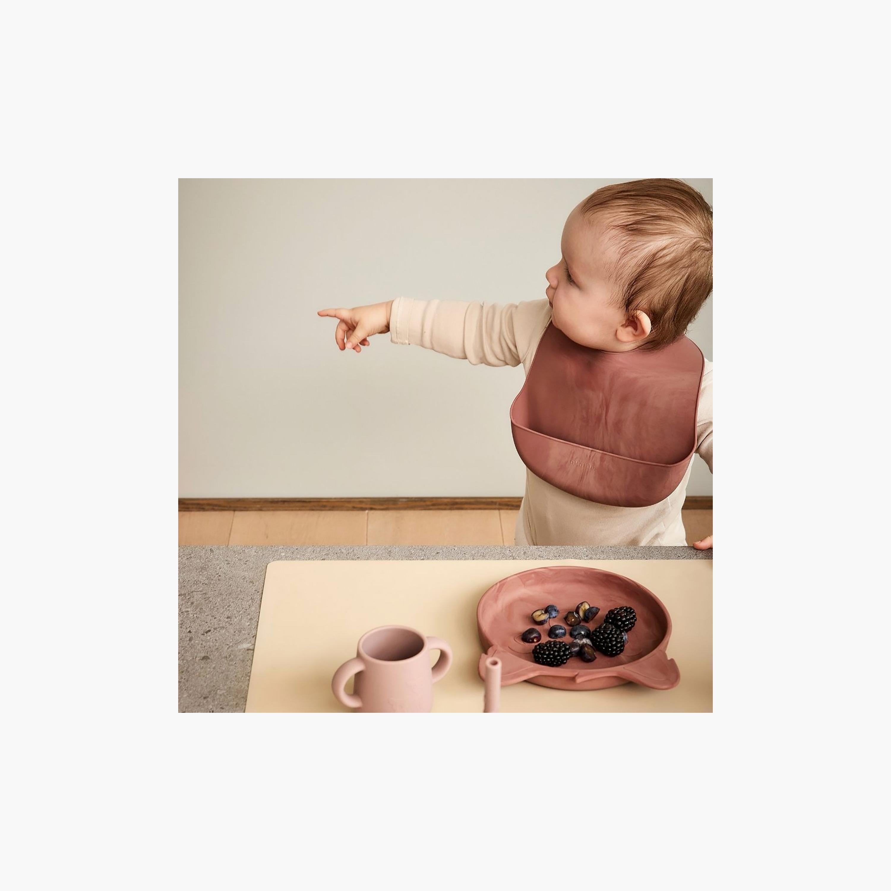Nuuroo 2-Piece Akila Silicone Plate Koala, Red-baby-feeding-mealtimeessentials-image-4