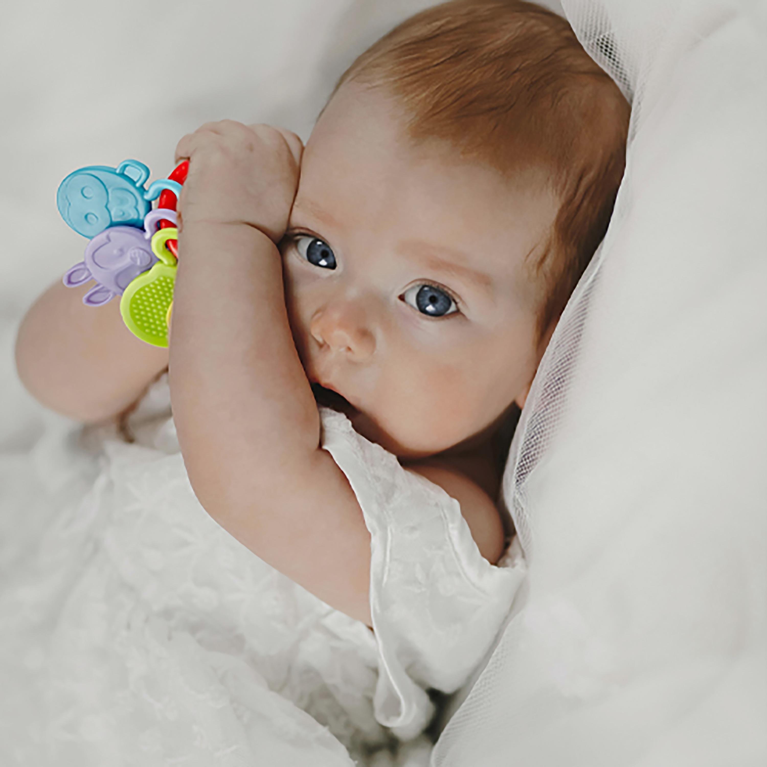 خشخيشة وعضاضة من بيبي جيم-baby-feeding-teethers-image-2