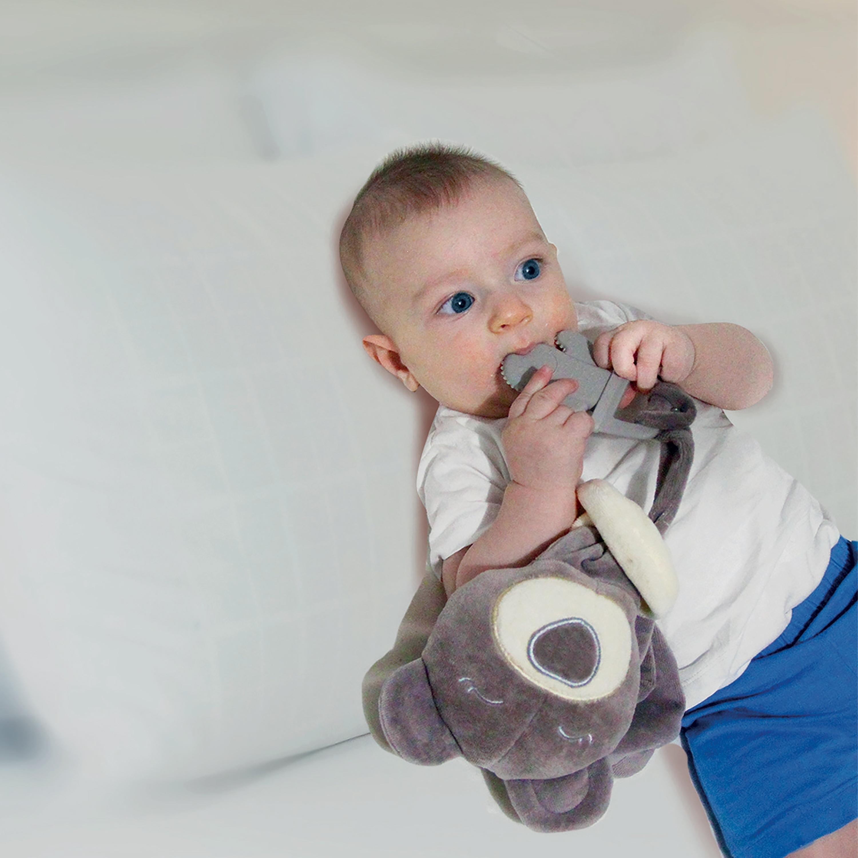 Babyjem Sleep Buddy with Teether-baby-feeding-teethers-image-3