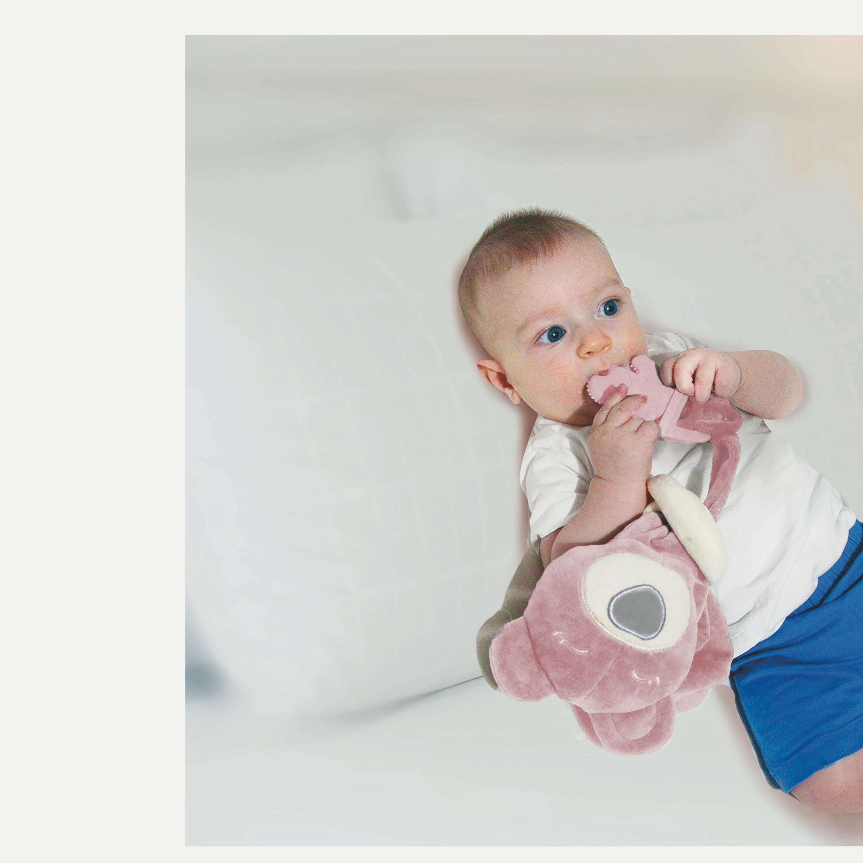 Babyjem Sleep Buddy with Teether-baby-feeding-teethers-image-7