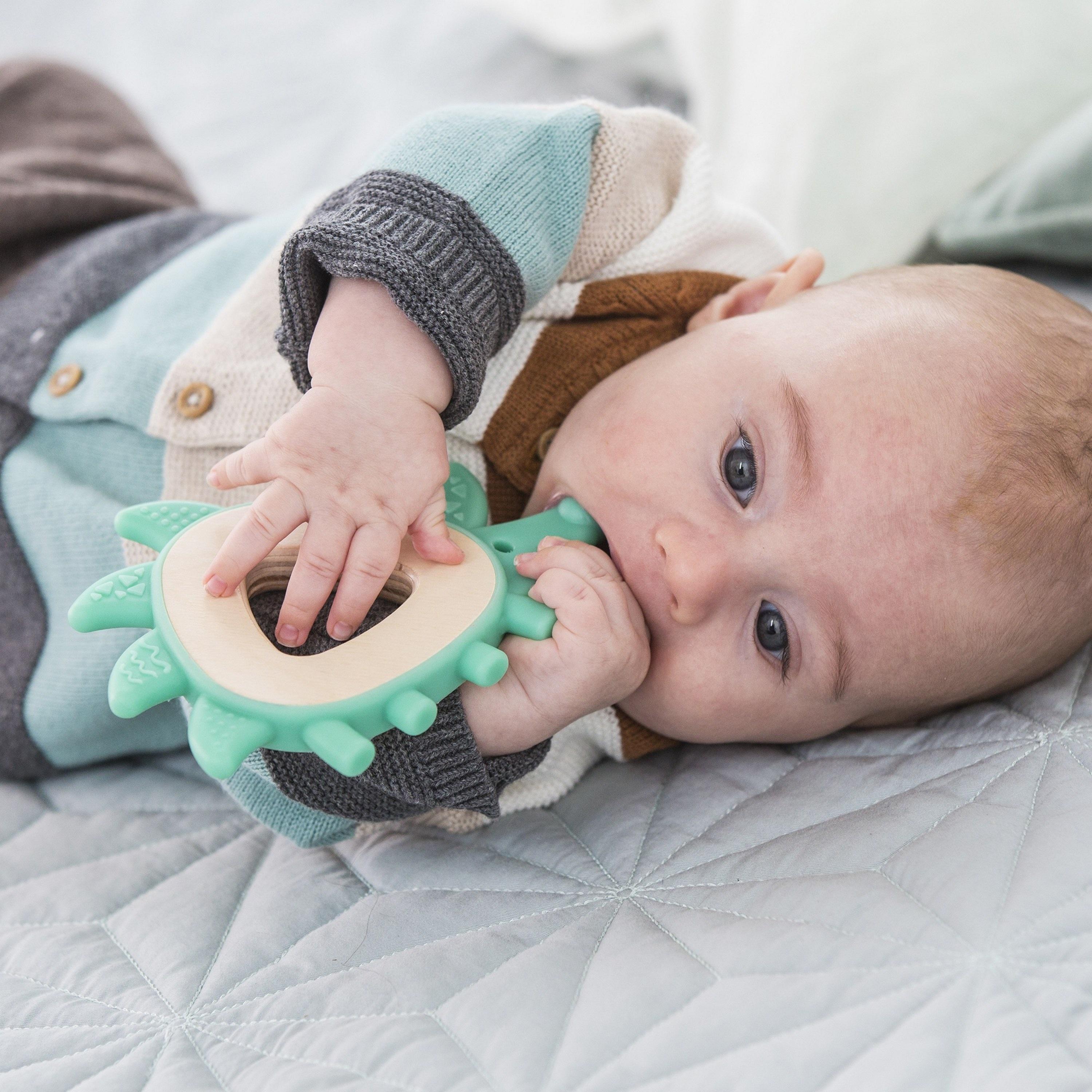 عضاضة من هابي، قنفذ-baby-feeding-teethers-image-3