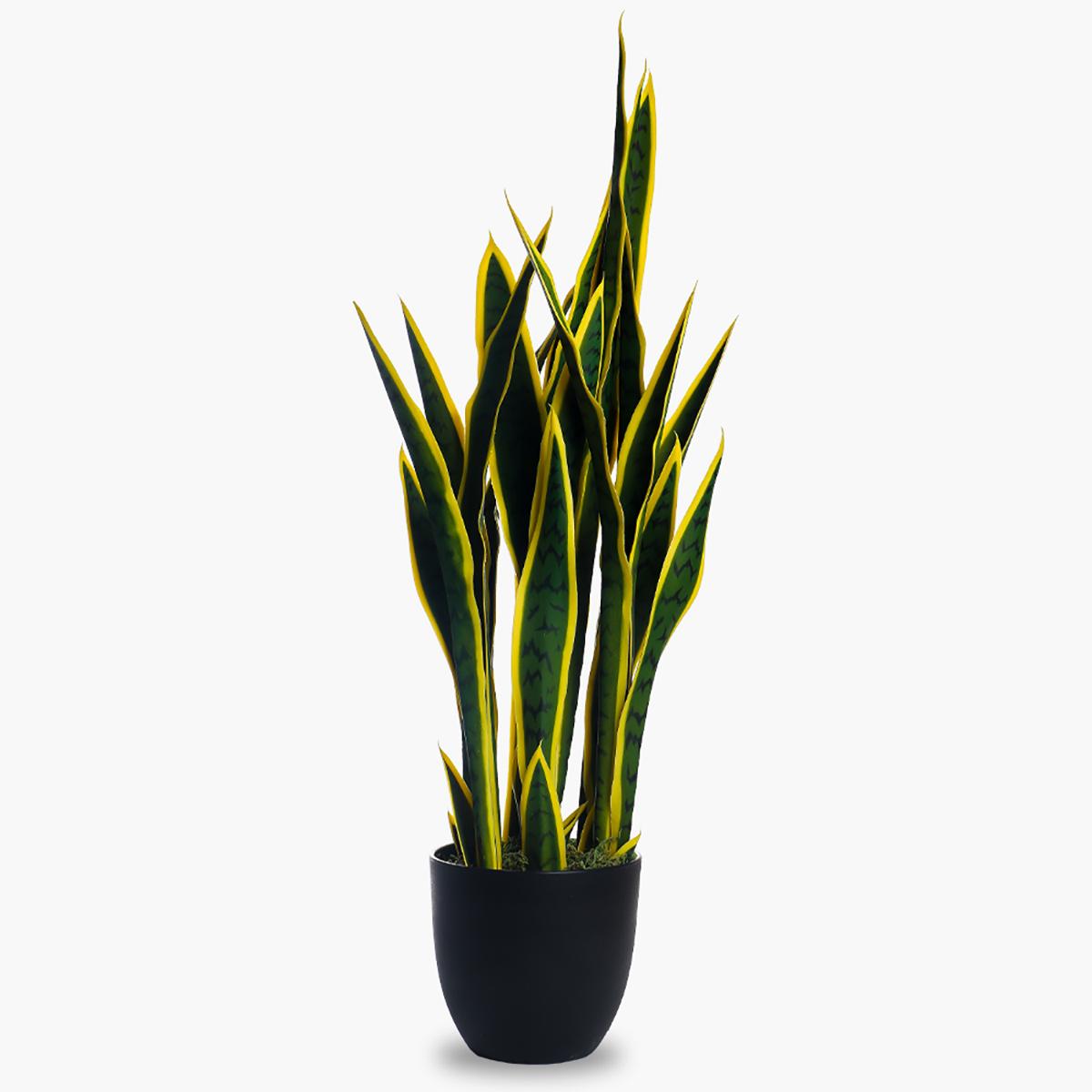 Artificial Snake Plant in Pot - 90 cm