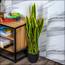 Artificial Snake Plant in Pot - 90 cm-InfluencerCodes_Ramadan26_All_20012026-image-2