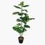 Dieffenbachia Tree with Pot - 140 cm
-InfluencerCodes_Ramadan26_All_20012026-image-1