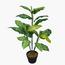 Artificial Dieffenbachia Plant with Pot - 85 cm-InfluencerCodes_Ramadan26_All_20012026-image-1