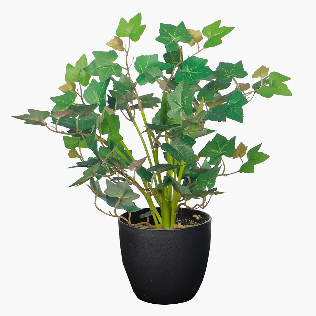 Artificial 2-Piece Ivy Leaf Small Plant in Pot Set - 30 cm