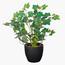 Artificial 2-Piece Ivy Leaf Small Plant in Pot Set - 30 cm-InfluencerCodes_Ramadan26_All_20012026-image-1