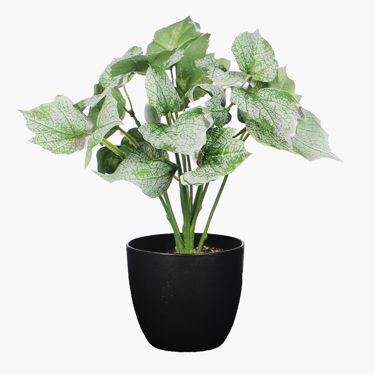 Artificial 2-Piece Small Plant in Pot Set - 30 cm