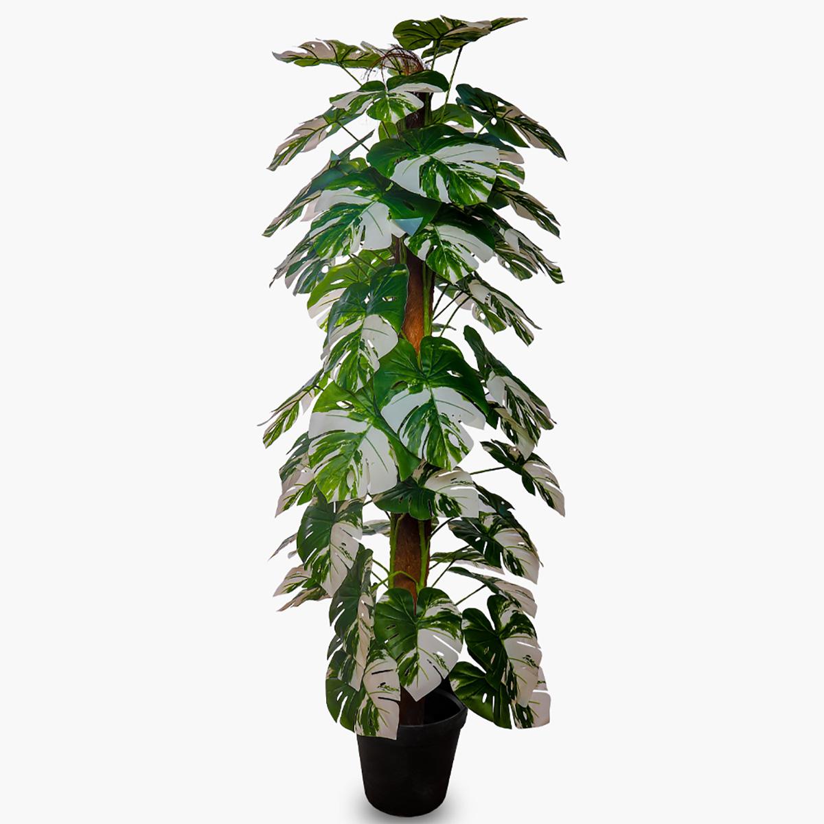 One Rod Artificial Monstera Tree in Pot - 160 cm