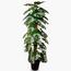 One Rod Artificial Monstera Tree in Pot - 160 cm
-InfluencerCodes_Ramadan26_All_20012026-image-1