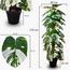 One Rod Artificial Monstera Tree in Pot - 160 cm
-InfluencerCodes_Ramadan26_All_20012026-image-2