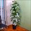 One Rod Artificial Monstera Tree in Pot - 160 cm
-InfluencerCodes_Ramadan26_All_20012026-image-3