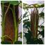One Rod Artificial Monstera Tree in Pot - 160 cm
-InfluencerCodes_Ramadan26_All_20012026-image-4