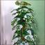 One Rod Artificial Monstera Tree in Pot - 160 cm
-InfluencerCodes_Ramadan26_All_20012026-image-5
