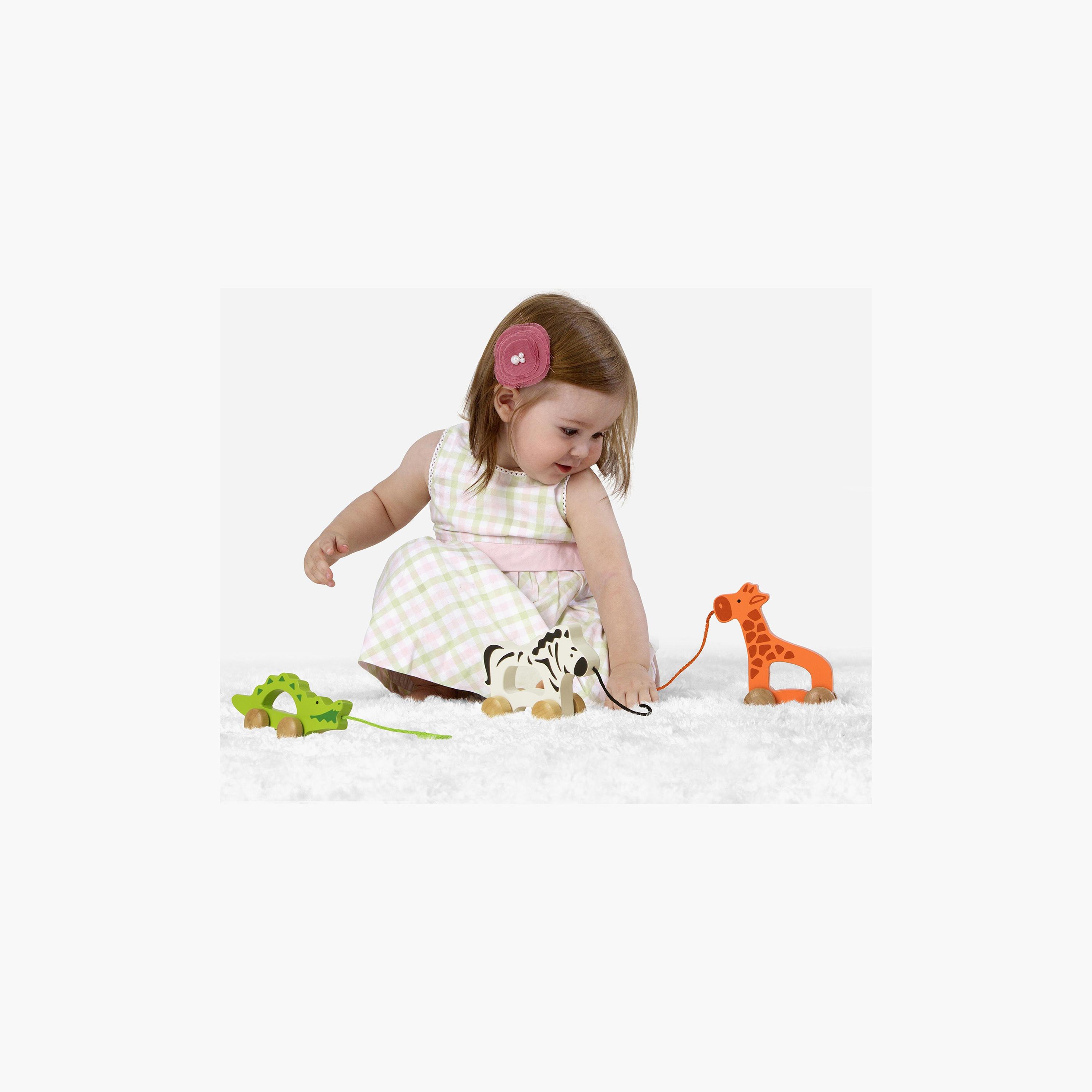 Hape Giraffe Push And Pull Toy-toys-babyandtoddlertoys-pushandpulltoys-image-1