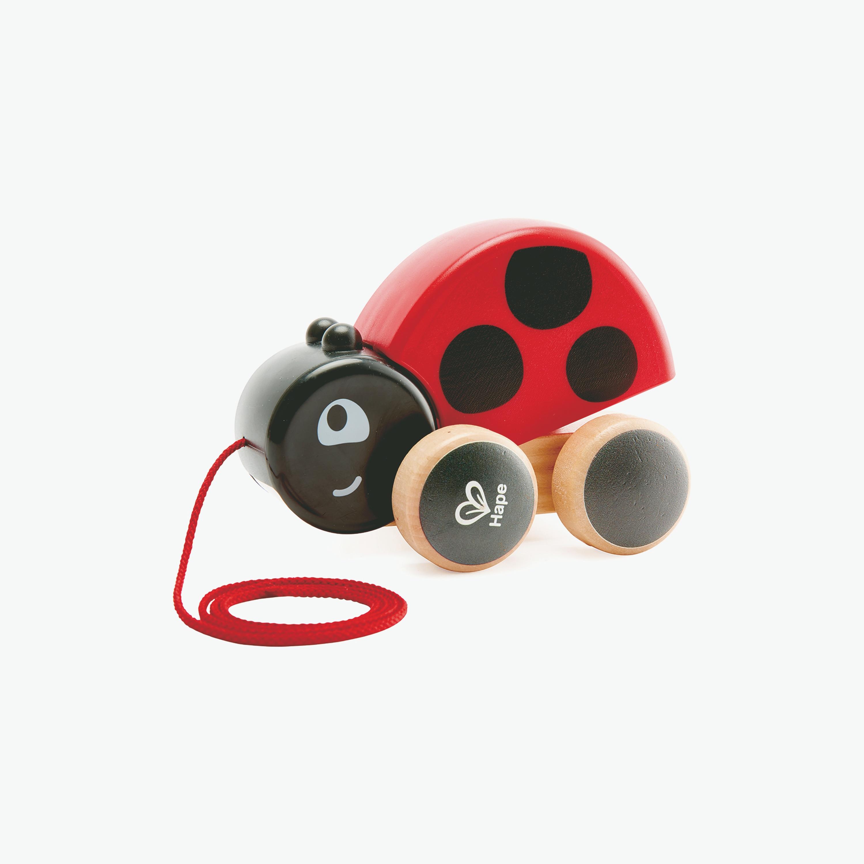 Buy Hape Ladybug Pull Along Push And Pull Toy Online Babyshop UAE