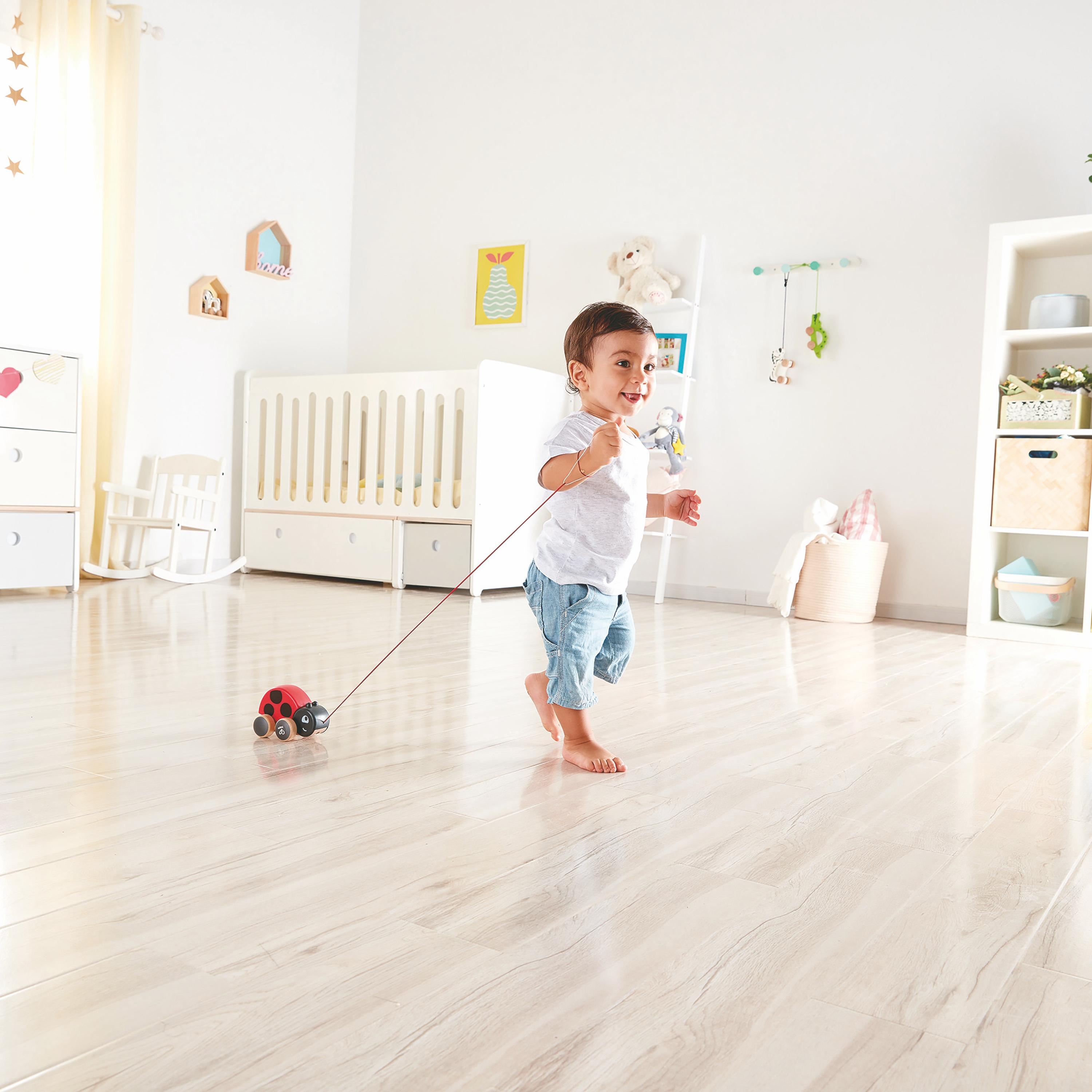 لعبة سحب و دفع دعسوقة السحب من هيب-toys-babyandtoddlertoys-pushandpulltoys-image-2