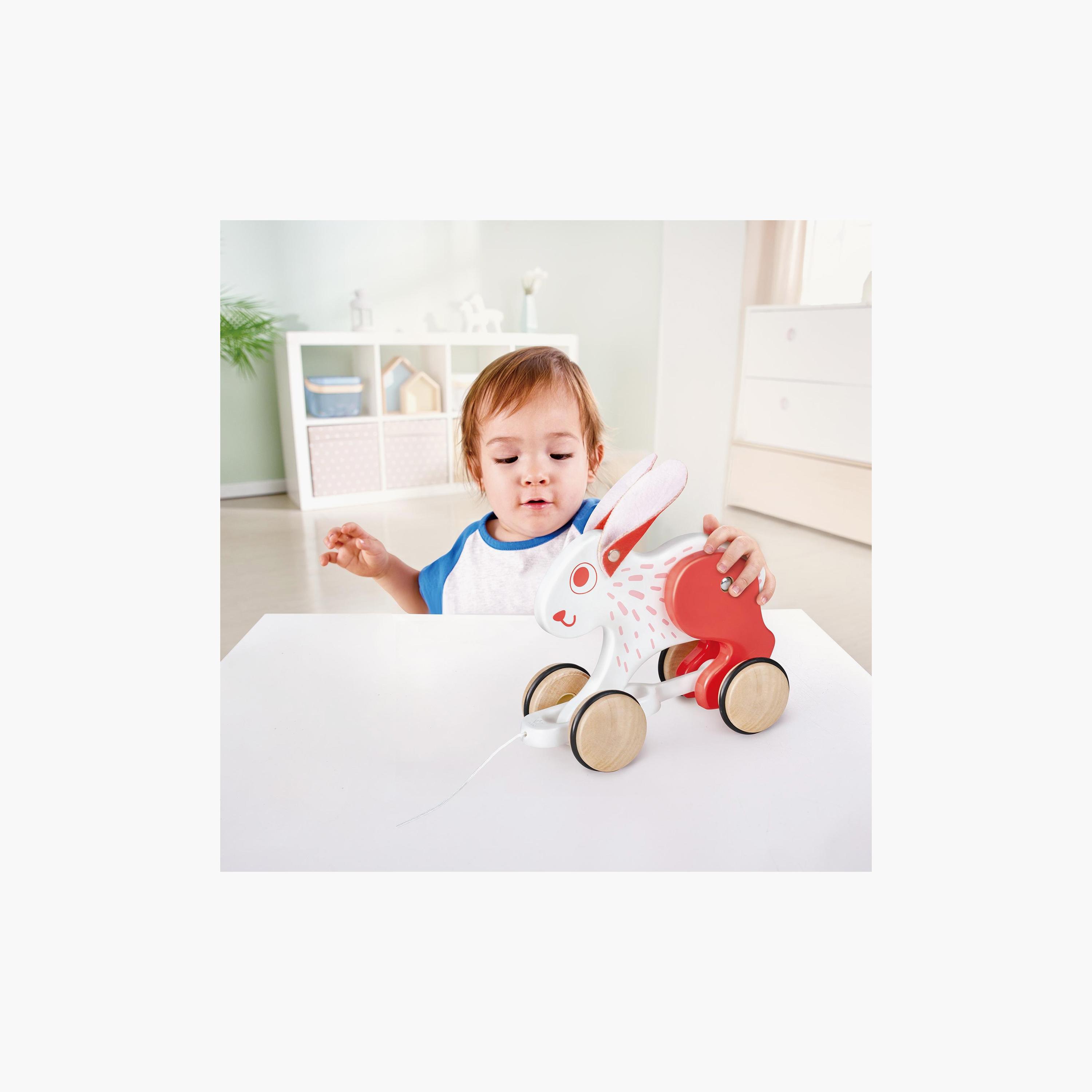 Hape Bunny Pull Along Push And Pull Toy-toys-babyandtoddlertoys-pushandpulltoys-image-5