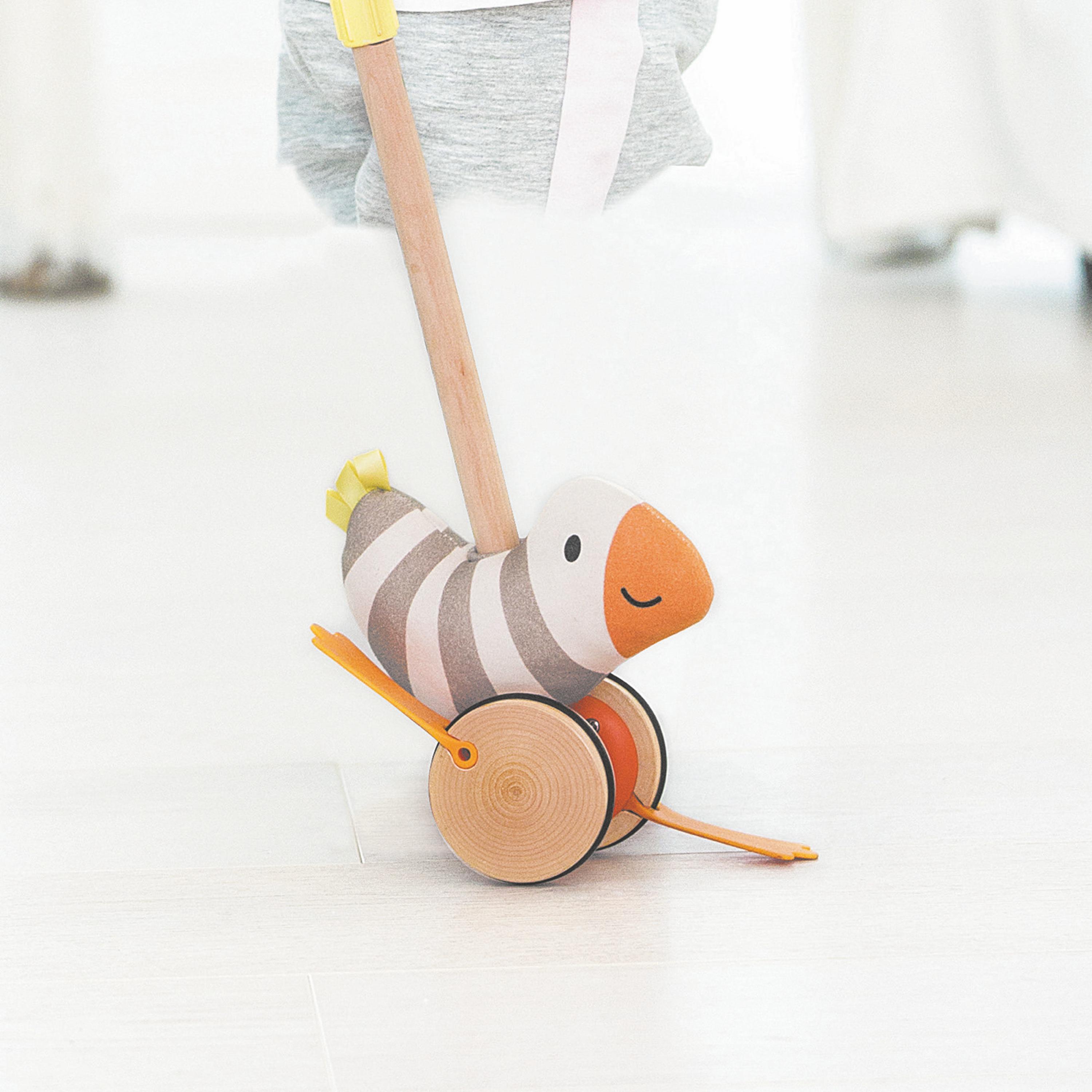 لعبة سحب و دفع الطائر الرفراف من هيب-toys-babyandtoddlertoys-pushandpulltoys-image-4