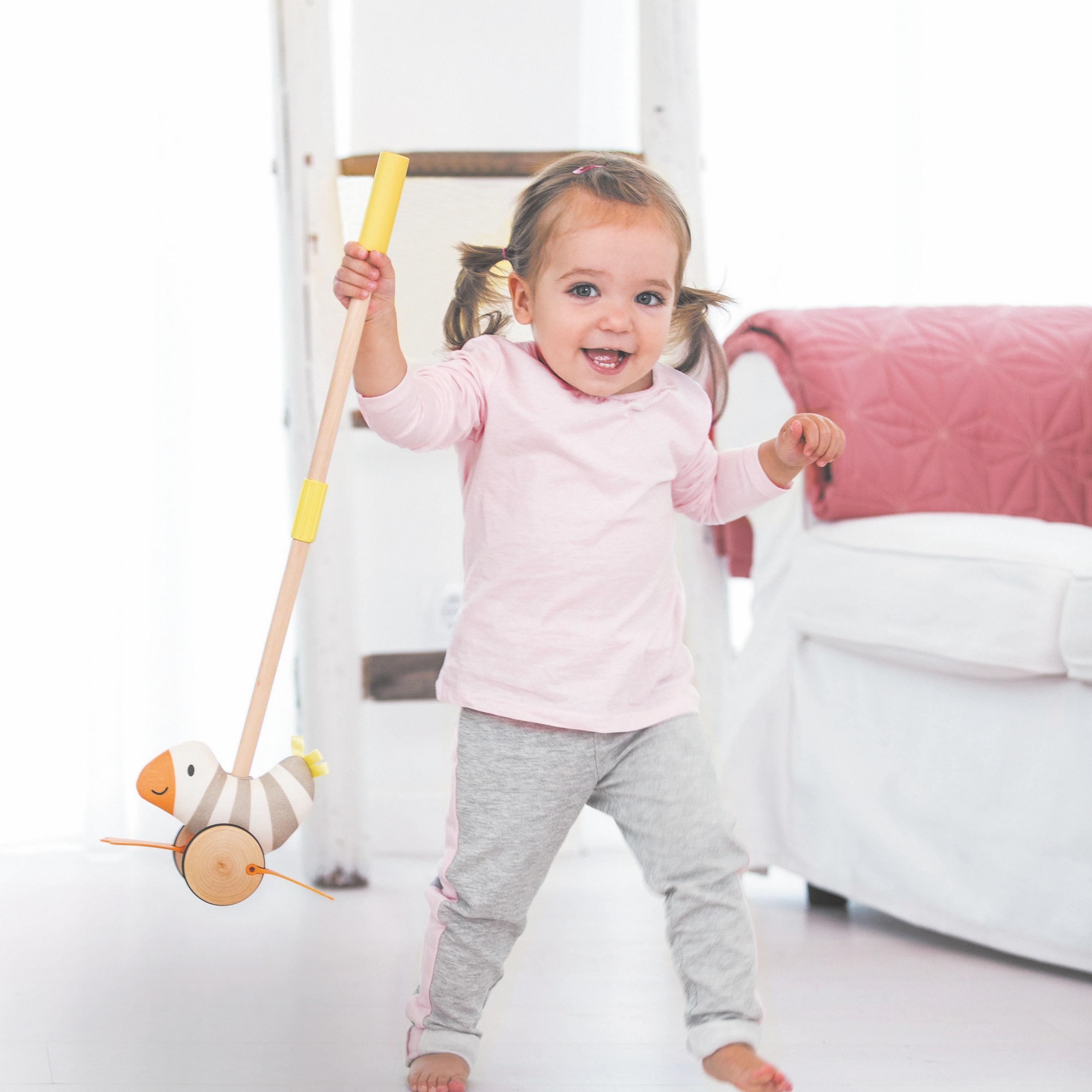 لعبة سحب و دفع الطائر الرفراف من هيب-toys-babyandtoddlertoys-pushandpulltoys-image-3