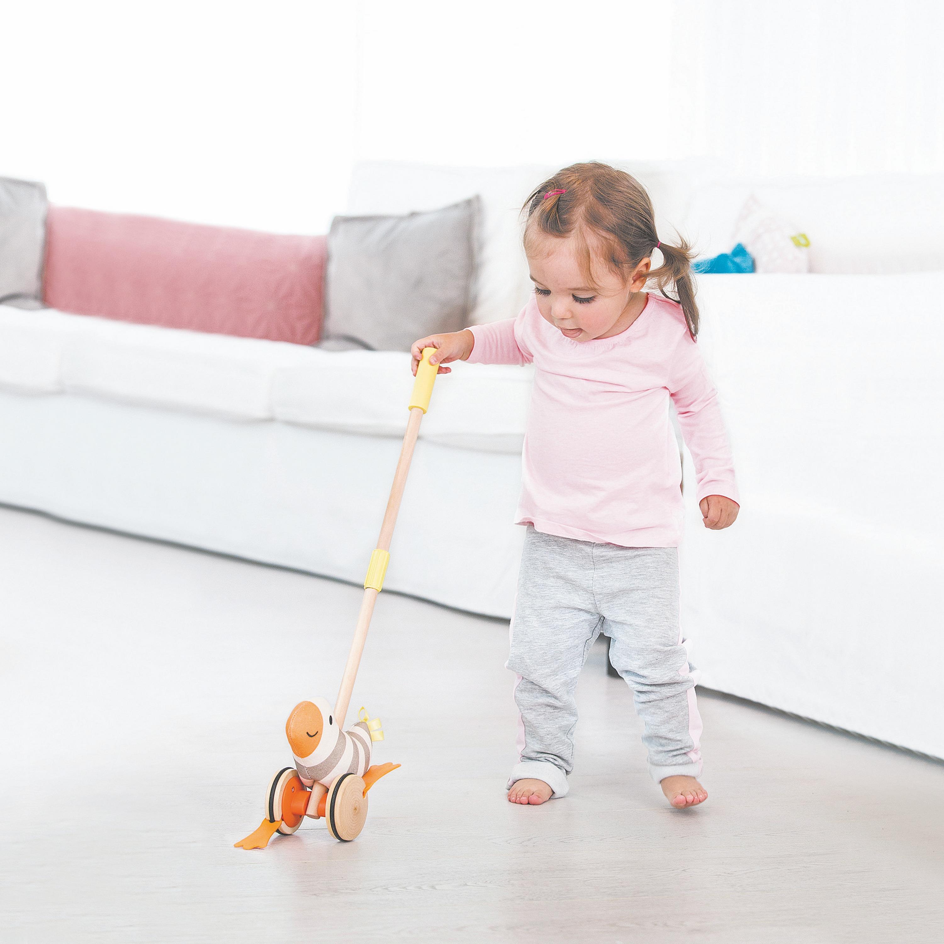 لعبة سحب و دفع الطائر الرفراف من هيب-toys-babyandtoddlertoys-pushandpulltoys-image-2