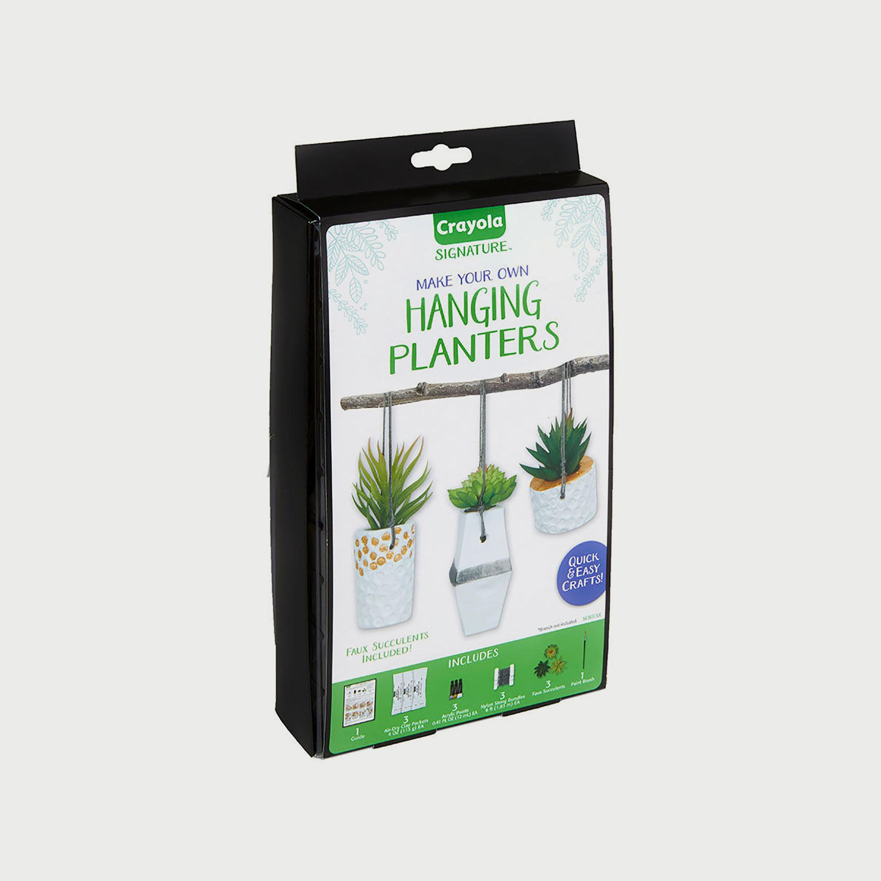 Crayola Signature Make Your Own Hanging Planters-school-artsandcrafts-image-2