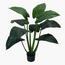 Taro Plant in Pot - 116 cm-InfluencerCodes_Ramadan26_All_20012026-image-1