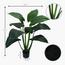 Taro Plant in Pot - 116 cm-InfluencerCodes_Ramadan26_All_20012026-image-2