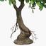 نبتة فيكس اصطناعية - 220 سم-InfluencerCodes_Ramadan26_All_20012026-image-2