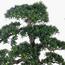 شجرة بونساي صناعية - 130 سم-household-gardenandoutdoor-artificialplants-bonsai-image-4