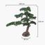 شجرة بونساي صناعية - 130 سم-household-gardenandoutdoor-artificialplants-bonsai-image-2