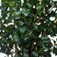 Artificial Olive Leaves Potted Tree - 120 cm-InfluencerCodes_Ramadan26_All_20012026-image-4