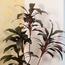 Artificial Cordyline Fruticosa Plant - 170 cm-InfluencerCodes_Ramadan26_All_20012026-image-3
