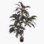 Artificial Cordyline Fruticosa Plant - 170 cm-InfluencerCodes_Ramadan26_All_20012026-image-5