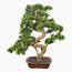 شجرة بونساي صناعية في إناء زرع - 65 سم-household-gardenandoutdoor-artificialplants-bonsai-image-5