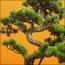 شجرة بونساي صناعية في إناء زرع - 65 سم-household-gardenandoutdoor-artificialplants-bonsai-image-3