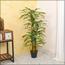Artificial Dracaena Deremensis Lemon Lime Plant -  130 cm-InfluencerCodes_Ramadan26_All_20012026-image-1
