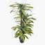 Artificial Dracaena Deremensis Lemon Lime Plant -  130 cm-InfluencerCodes_Ramadan26_All_20012026-image-2