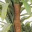 Artificial Dracaena Deremensis Lemon Lime Plant -  130 cm-InfluencerCodes_Ramadan26_All_20012026-image-3