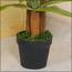 Artificial Dracaena Deremensis Lemon Lime Plant -  130 cm-InfluencerCodes_Ramadan26_All_20012026-image-5