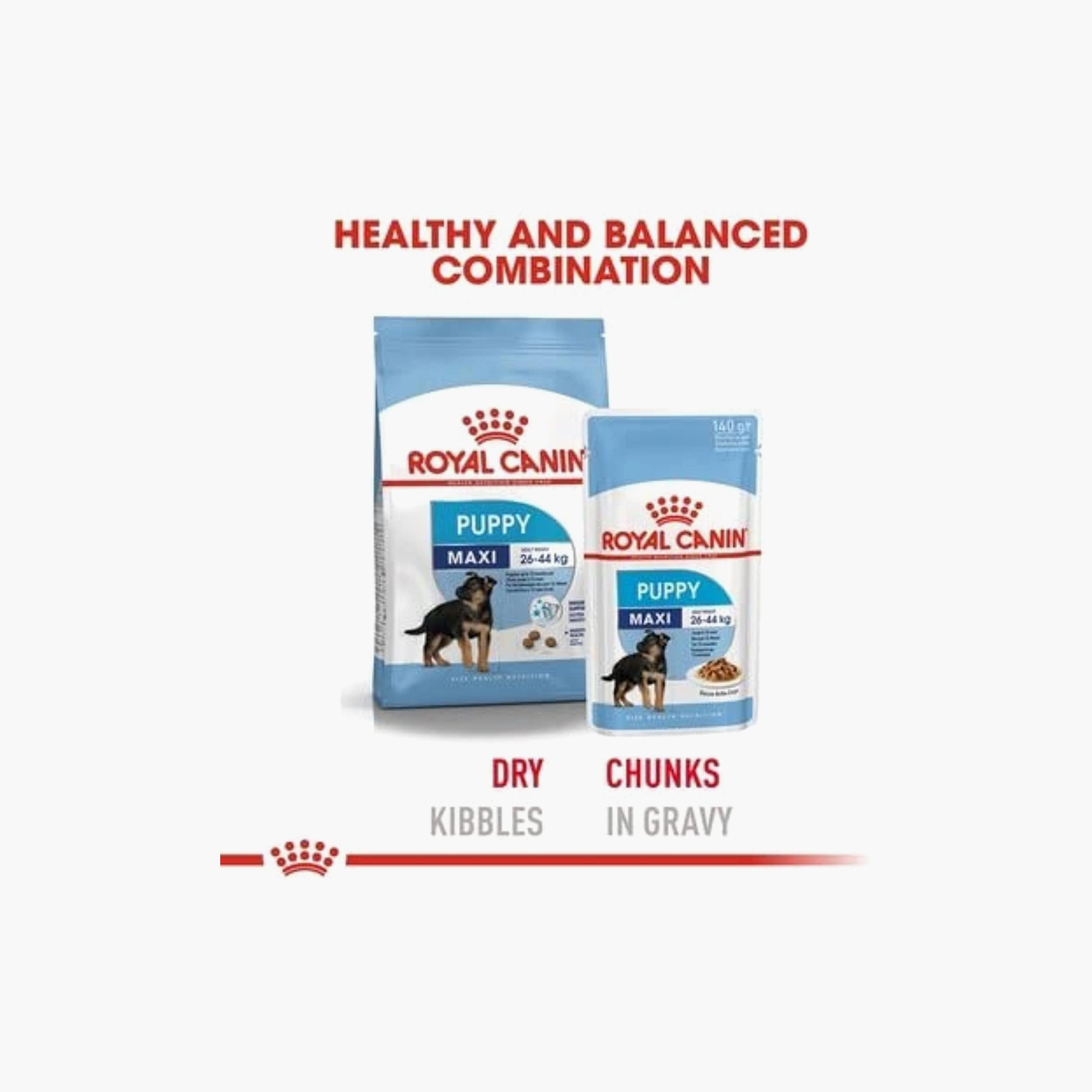 Balance it canine hotsell coupon code