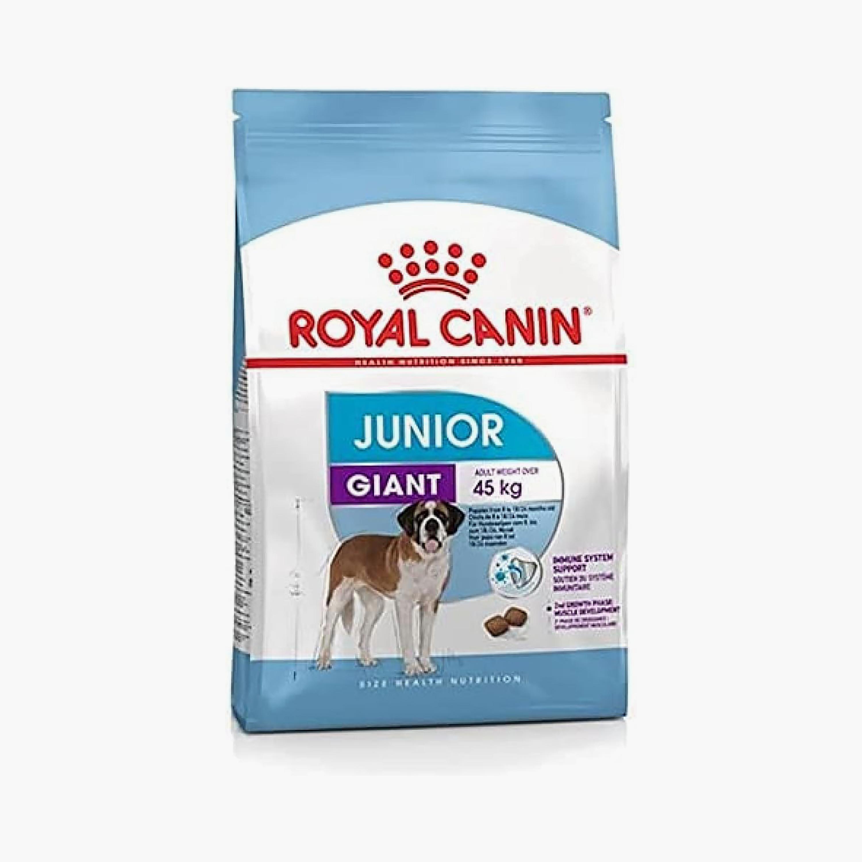 Order dog food on sale online