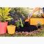 Tramontina Garden Trowel with Transplanting Trowel and 3-Teeth Cultivator-InfluencerCodes_Ramadan26_All_20012026-image-4
